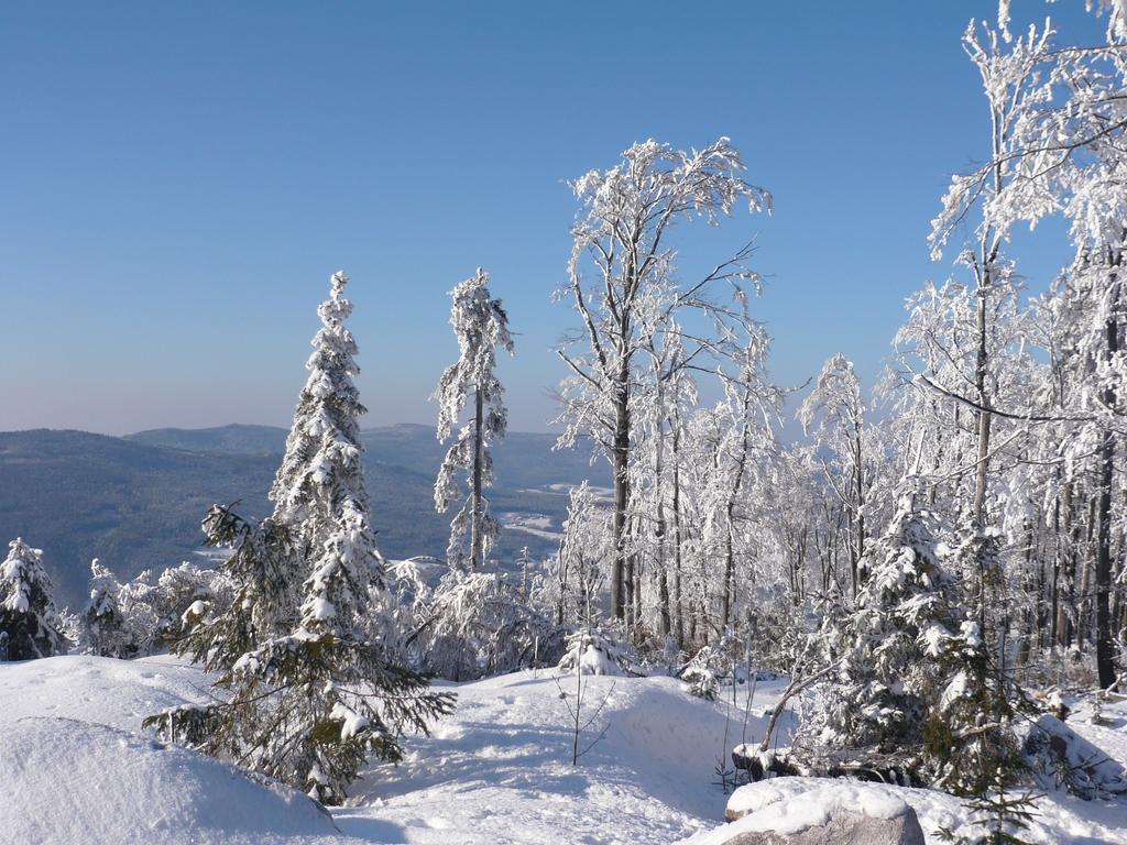 Ferienwohnungen Koenig Бишофсмайс Номер фото